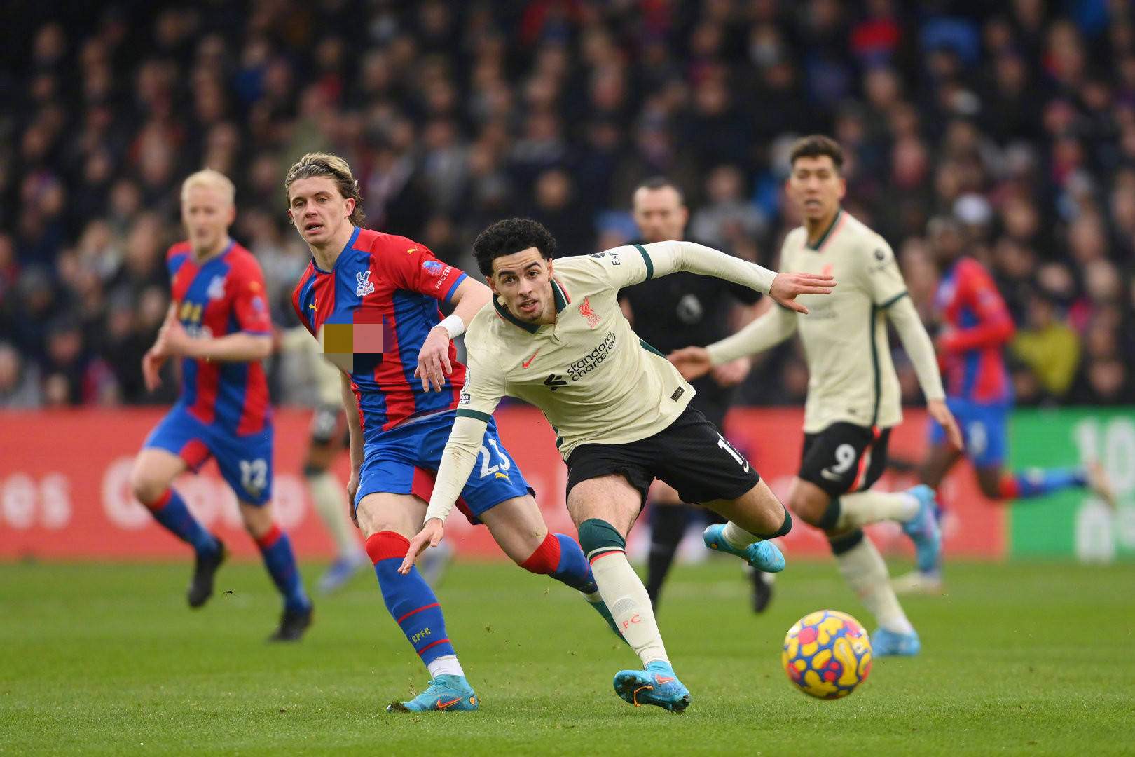 可或缺的一 可或缺的一